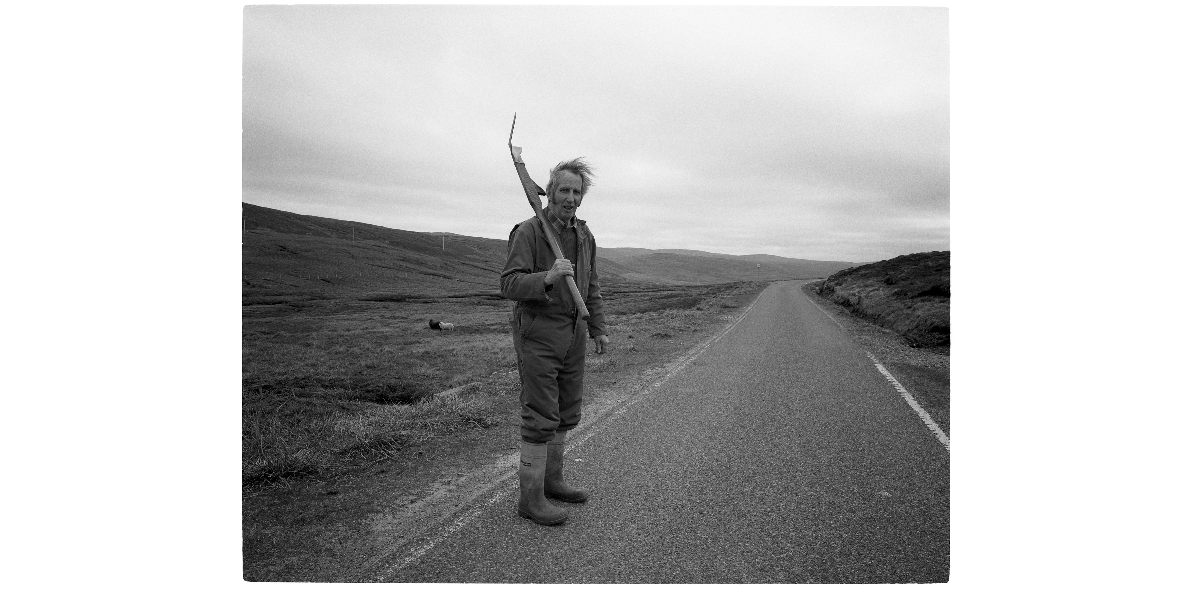 shetland portrait landscape photography